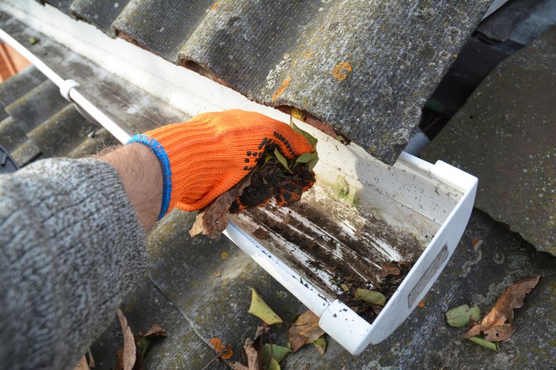 Gutter Clog Removal in Sacramento, CA